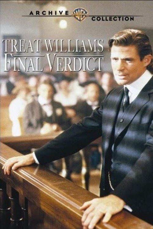 Постер Final Verdict